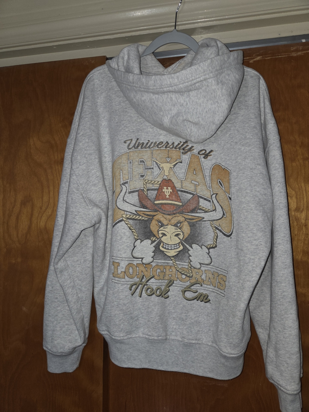 Hollister Gray University of Texas Longhorns Graphic Hoodie